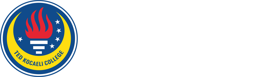 TED KOCAELI COLLEGE LANGUAGE TEACHING CONFERENCE’19